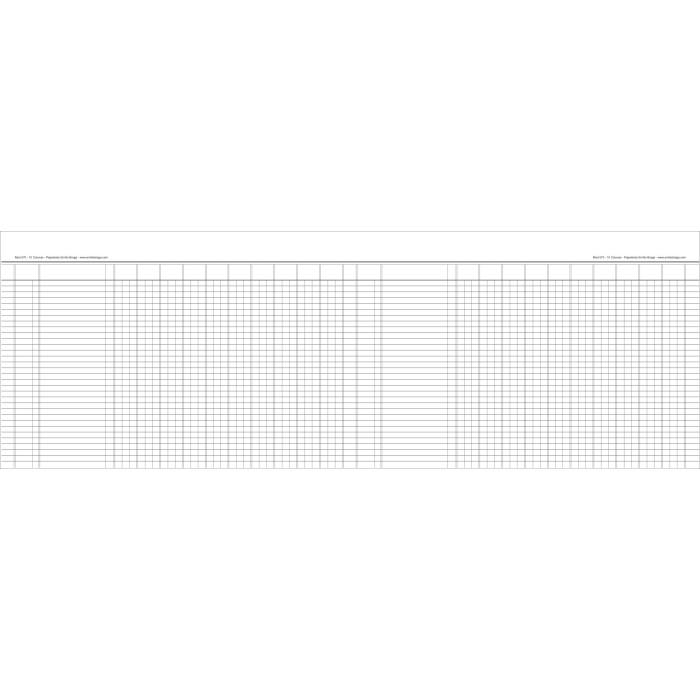Livro de Registo com 10 Colunas 570