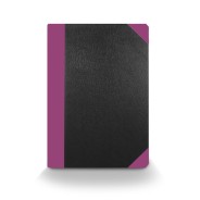 Old version Purple